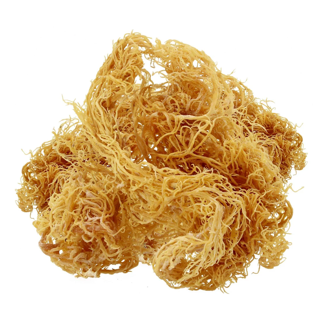 sea moss