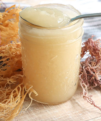 DIY Sea Moss Gel: Precision Protocol for Safe Home Preparation